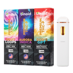 BINOID THC-P DISPOSABLE 2G