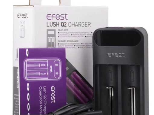 EFest LUSH Q2 - 2 Bay Smart LED Battery Charger