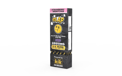 Slap Stick 2G Disposable